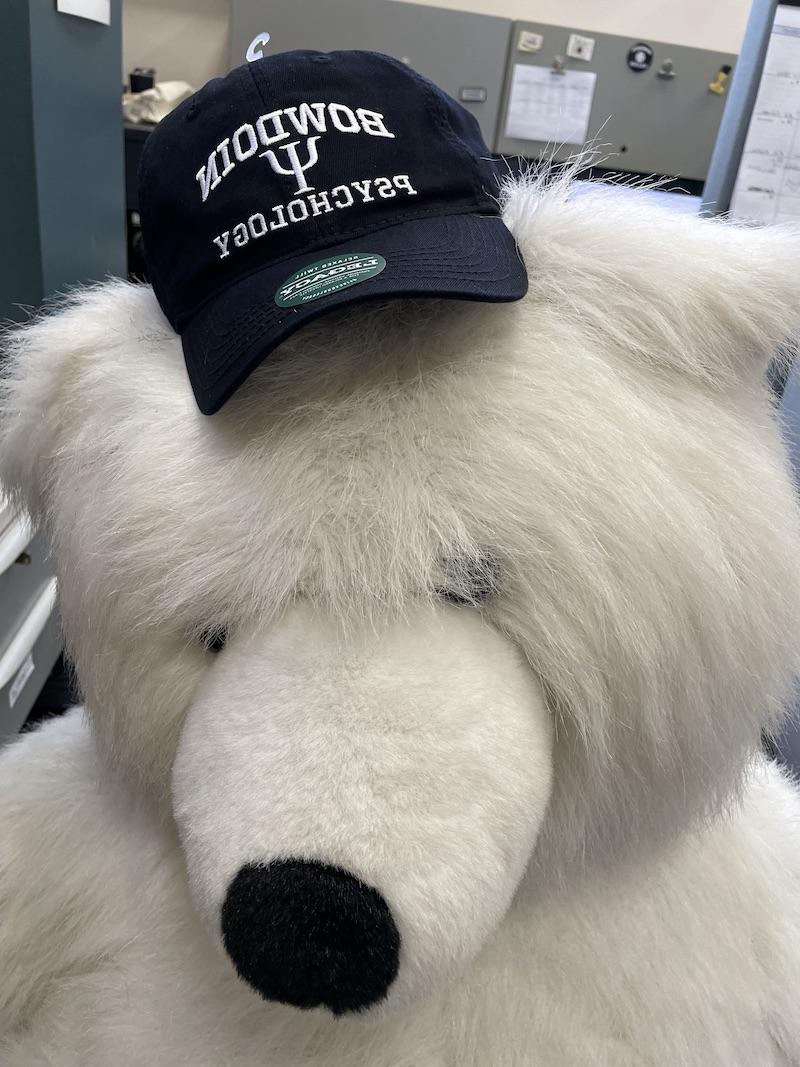 皇冠体育北极熊吉祥物戴着心理学帽
